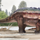 Artist’s impression of the new ankylosaurid.